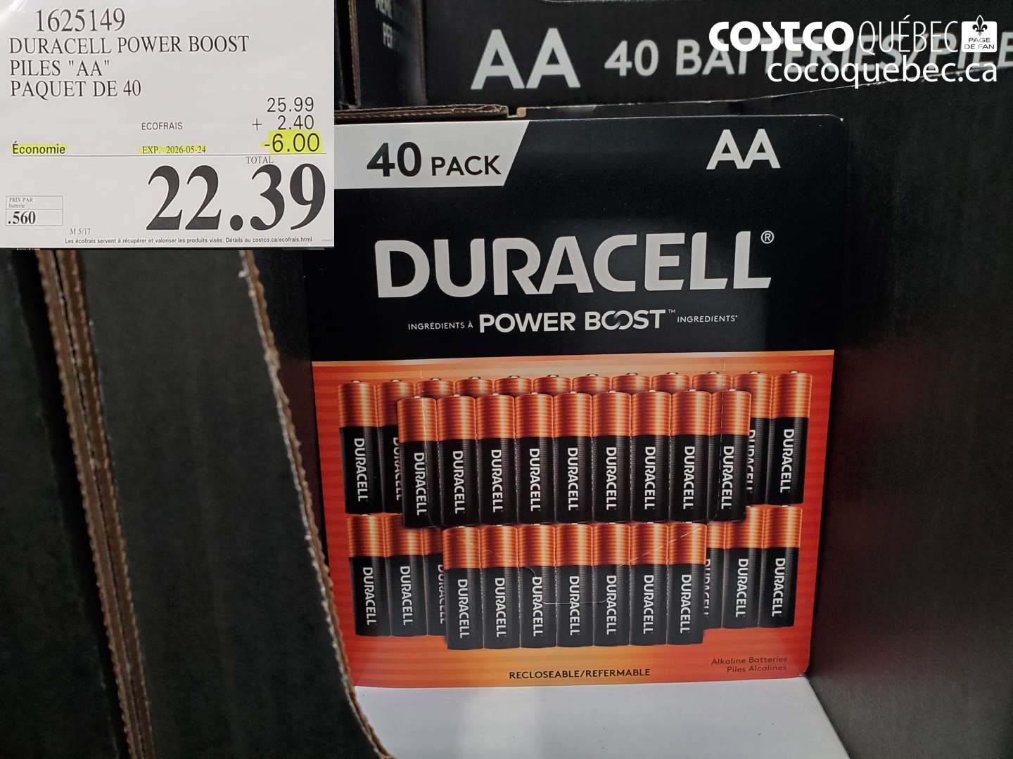 1625149 DURACELL POWER BOOST PILES 