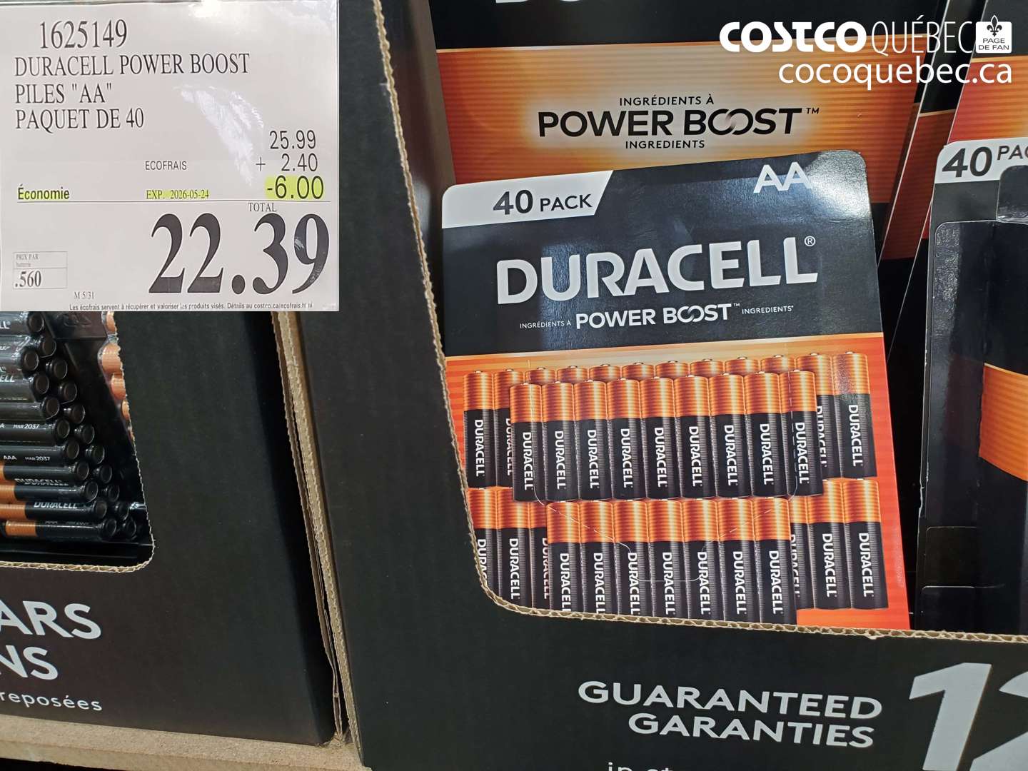 1625149 DURACELL POWER BOOST PILES 