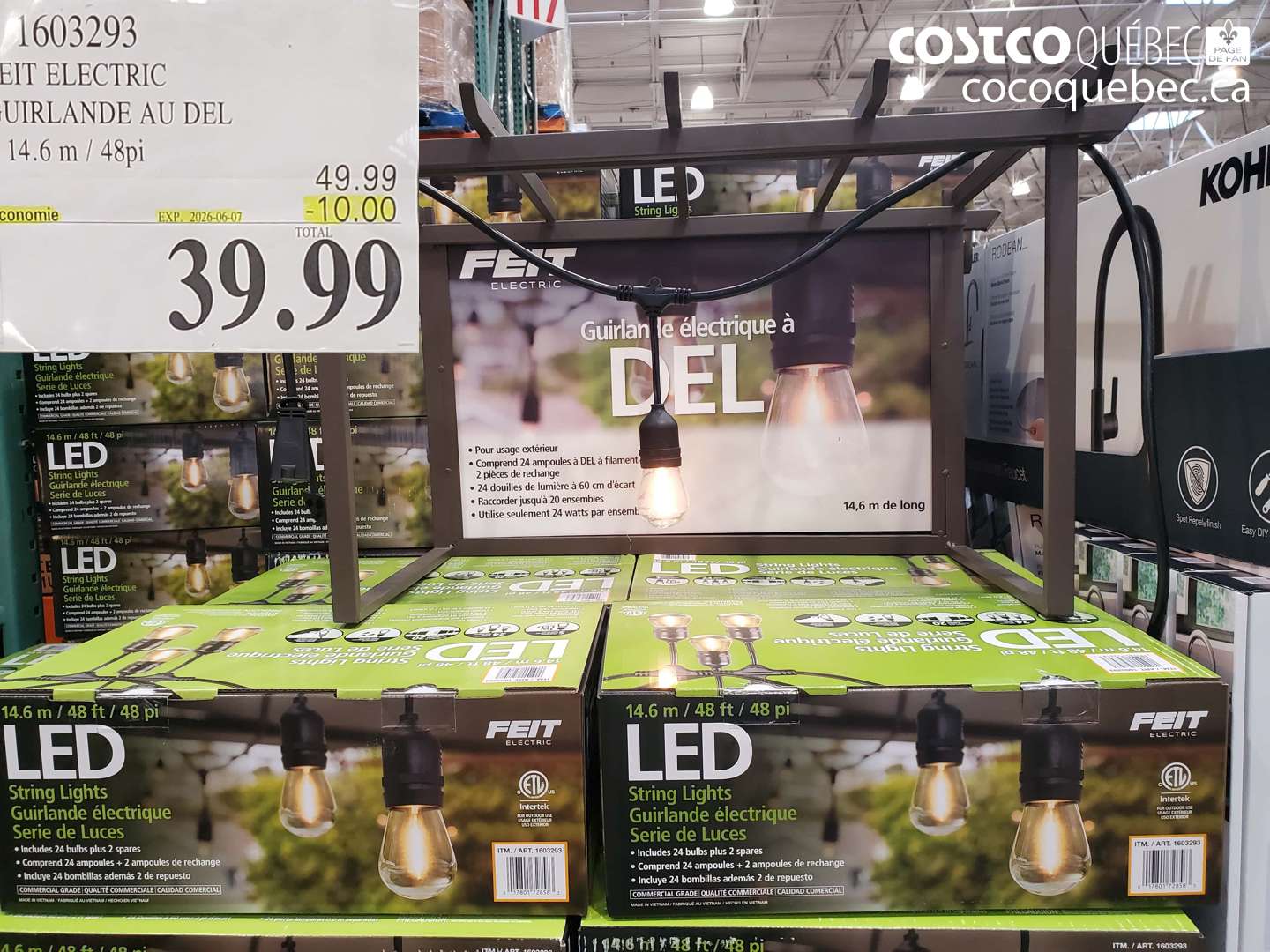 1603293 FEIT ELECTRIC GUIRLANDE AU DEL 14.6 M / 48PI ($10.00 INSTANT SAVINGS EXPIRES ON 2026-06-07) $39.99