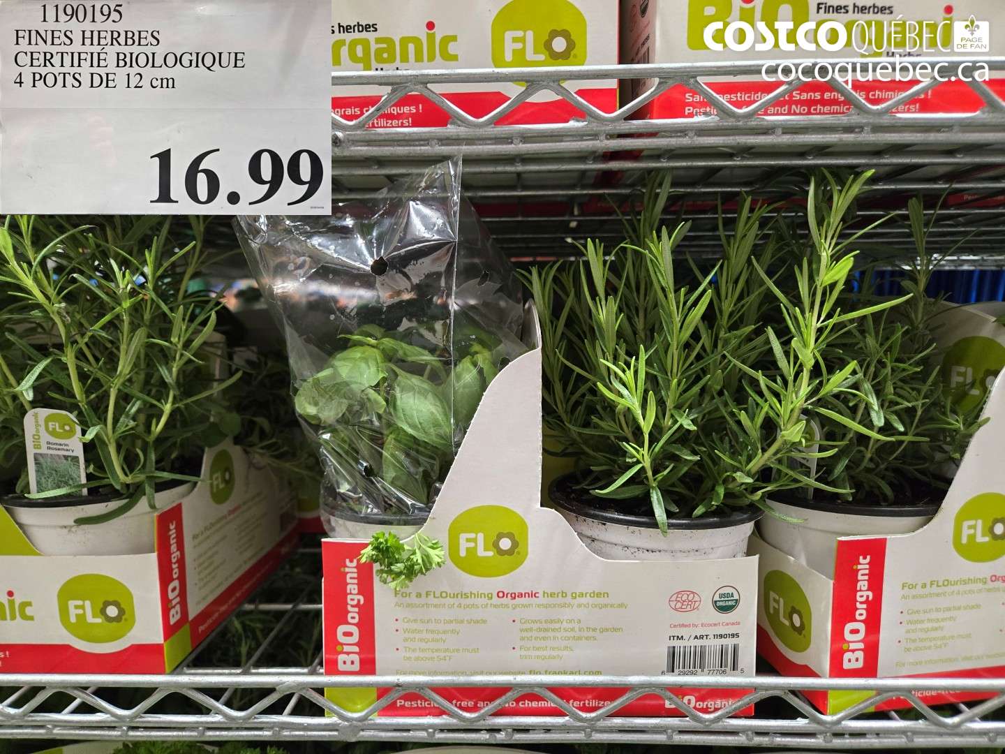 1190195 FINES HERBES CERTIFIÉ BIOLOGIQUE 4 POTS DE 12 CM $16.99
