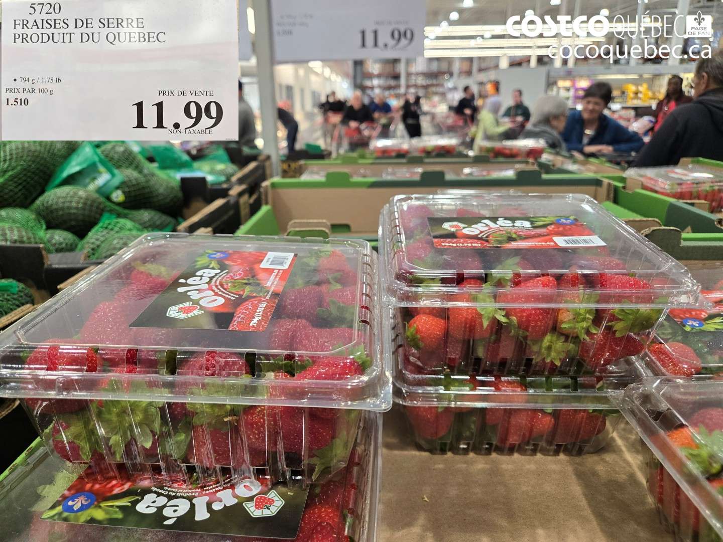 5720 FRAISES DE SERRE PRODUIT DU QUEBEC $11.99