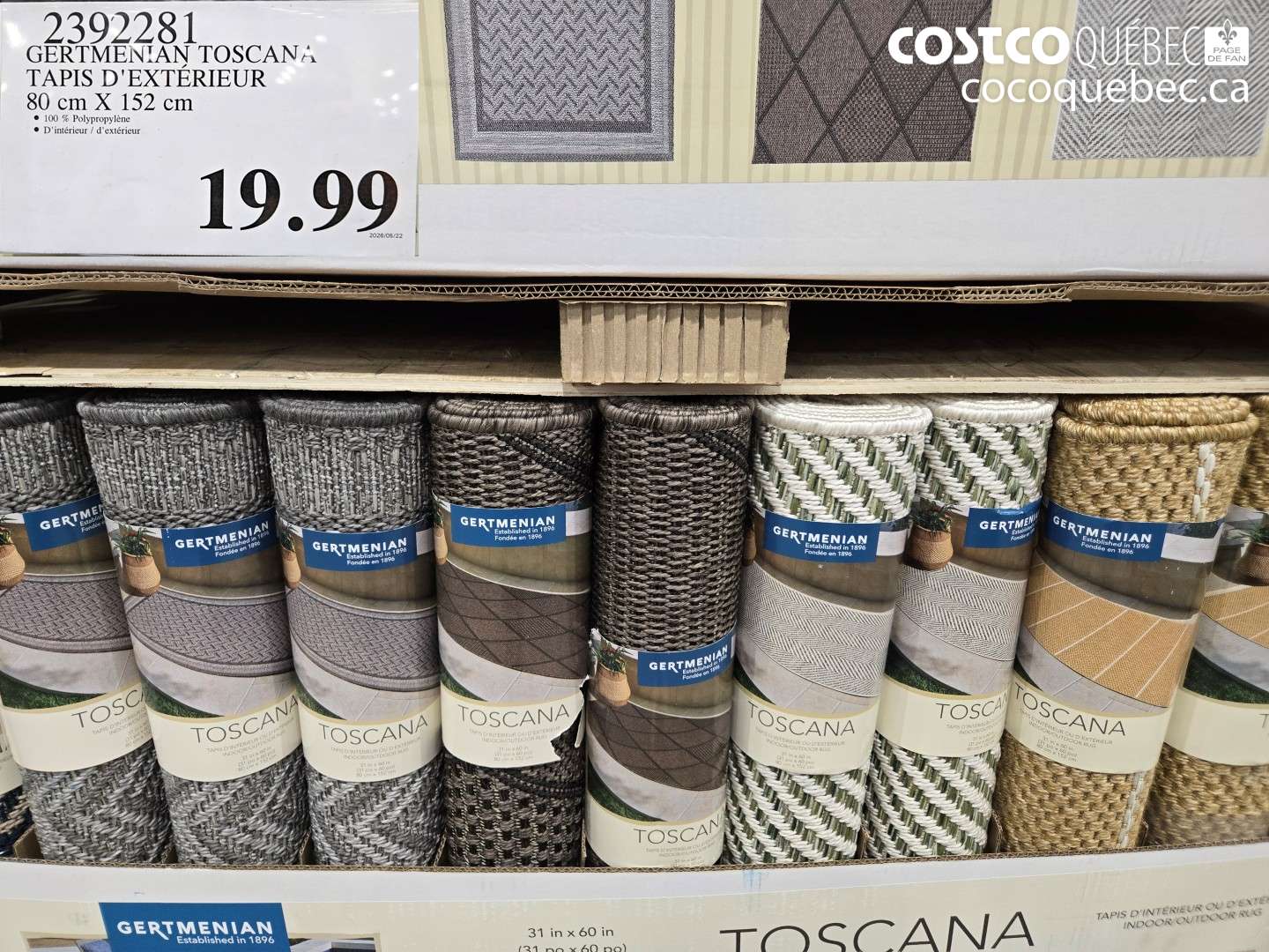 2392281 GERTMENIAN TOSCANA TAPIS D'EXTÉRIEUR 80 CM X 152 CM $19.99