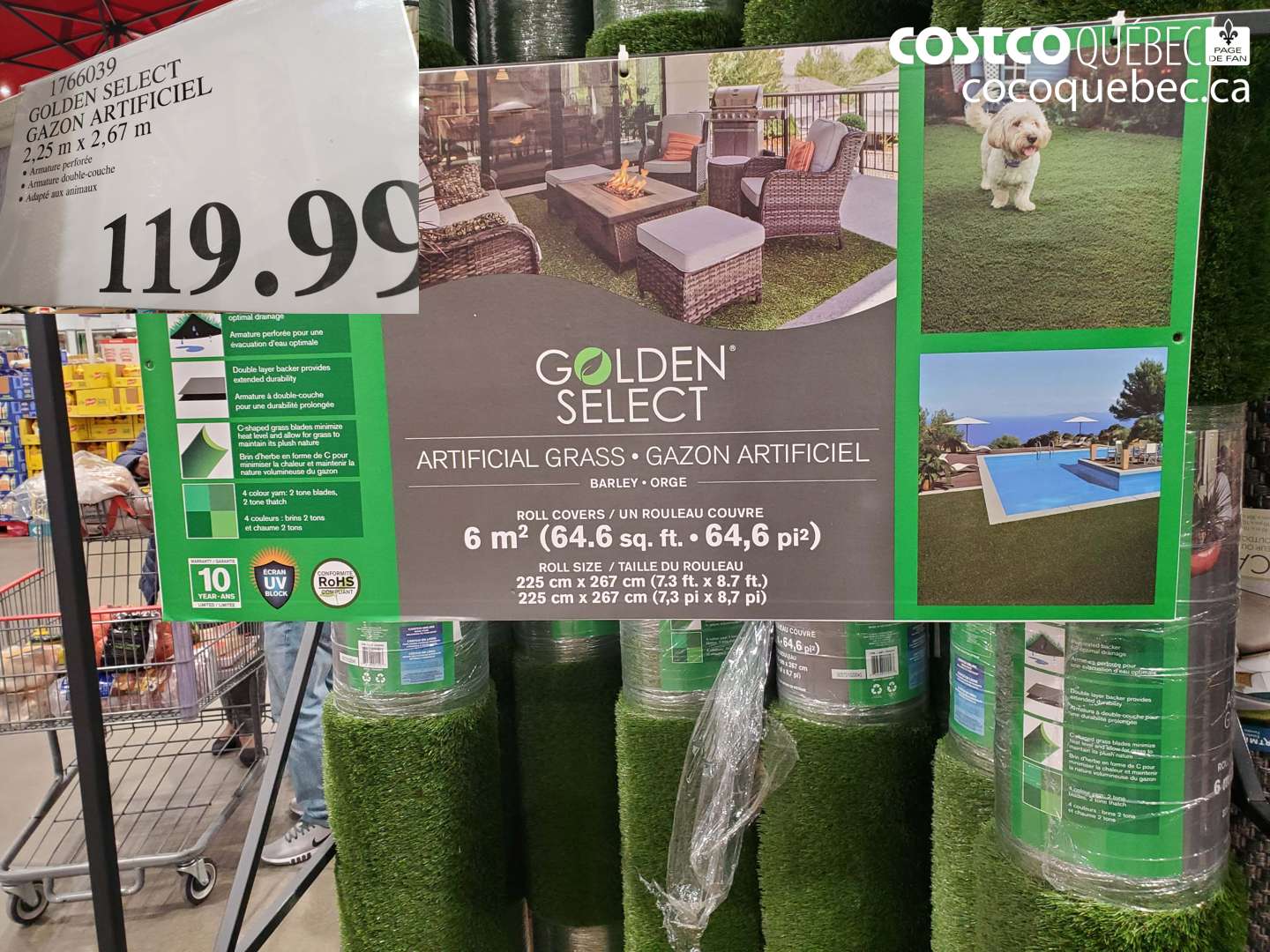1766039 GOLDEN SELECT GAZON ARTIFICIEL 2.25 M X 2.67 M $119.99