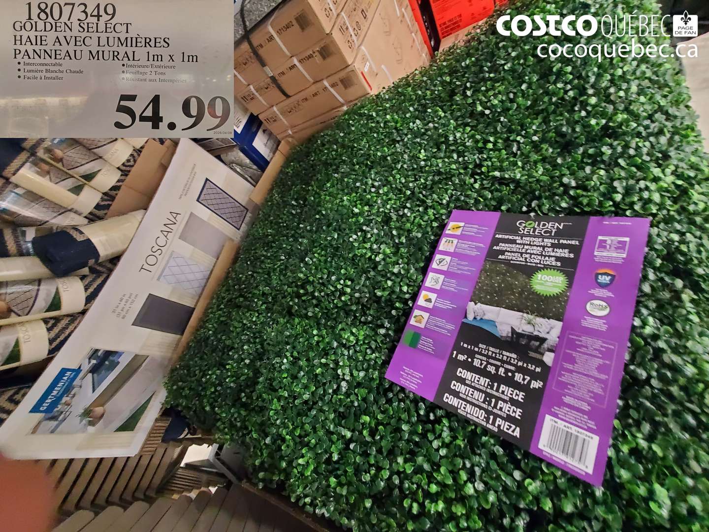 1807349 GOLDEN SELECT HAIE AVEC LUMIÈRES PANNEAU MURAL 1M X 1M $54.99