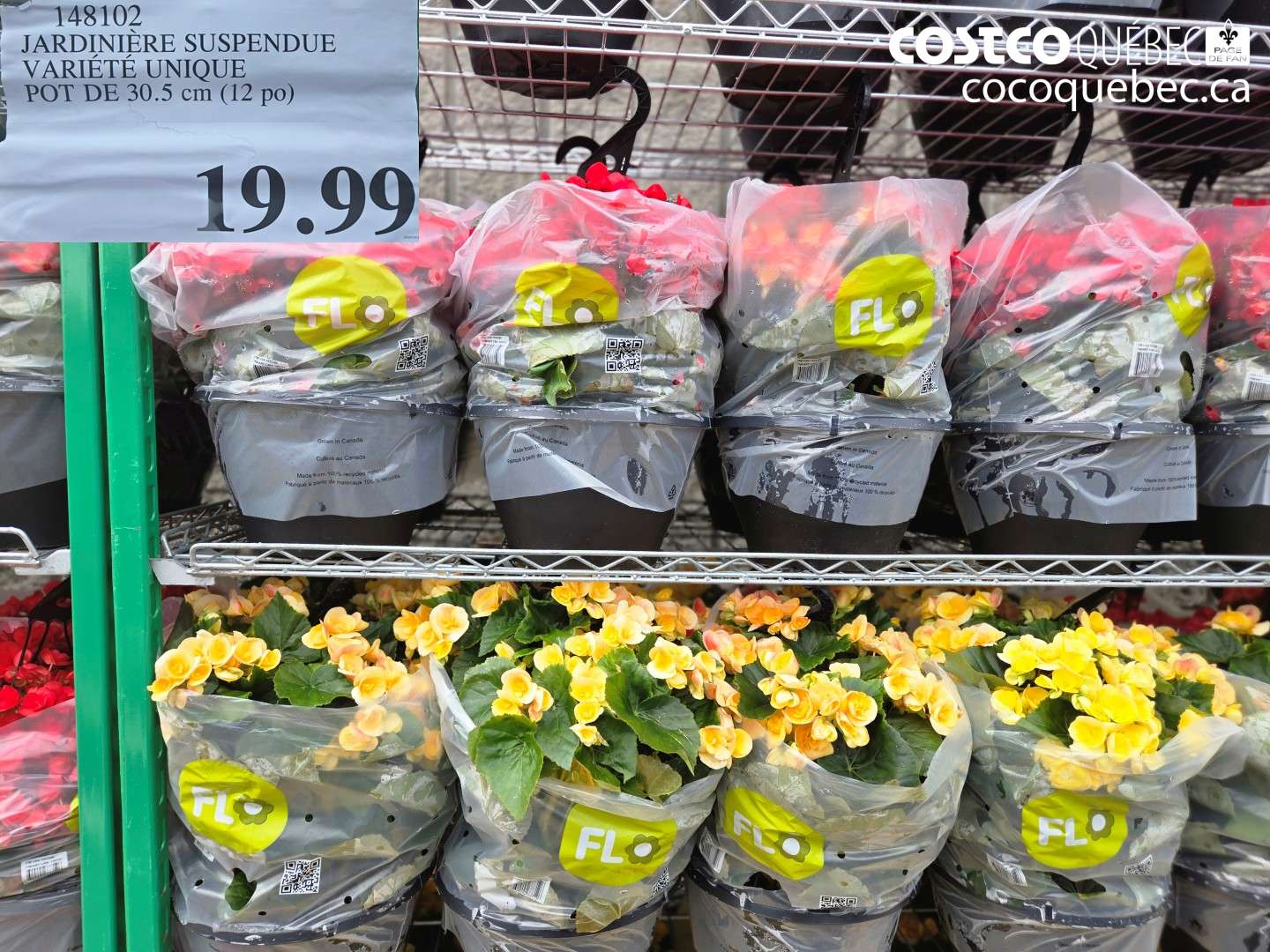 148102 JARDINIERE SUSPENDUE VARIÉTÉ UNIQUE POT DE 50.5 CM (12 PO) $19.99