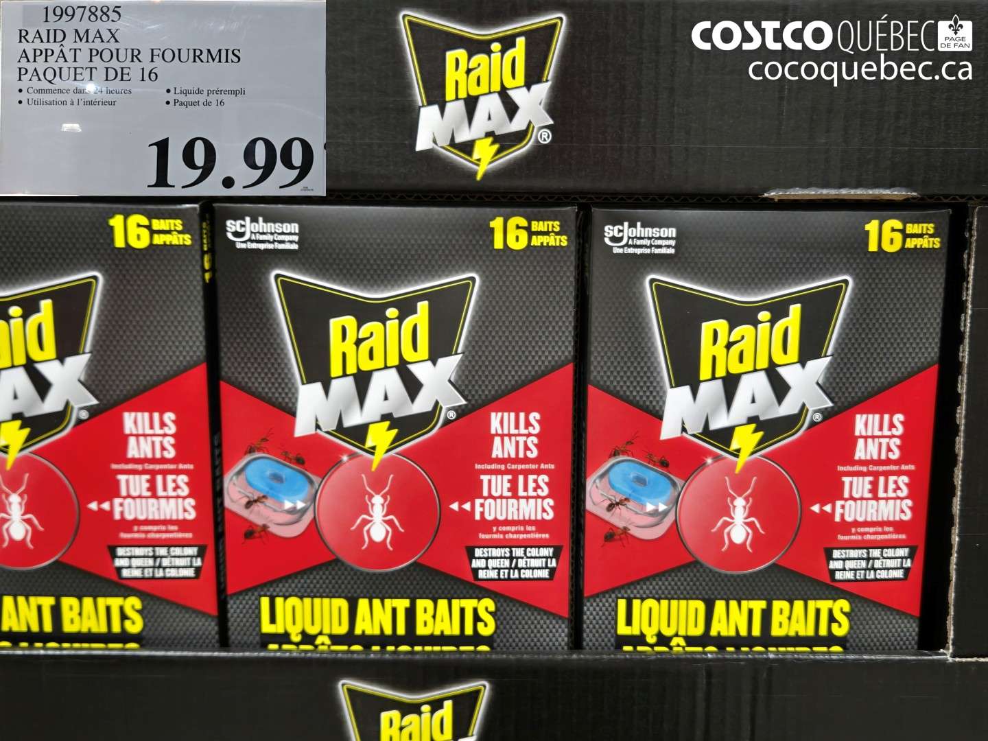 1997885 RAID MAX APPÂT POUR FOURMIS PAQUET DE 16 $19.99