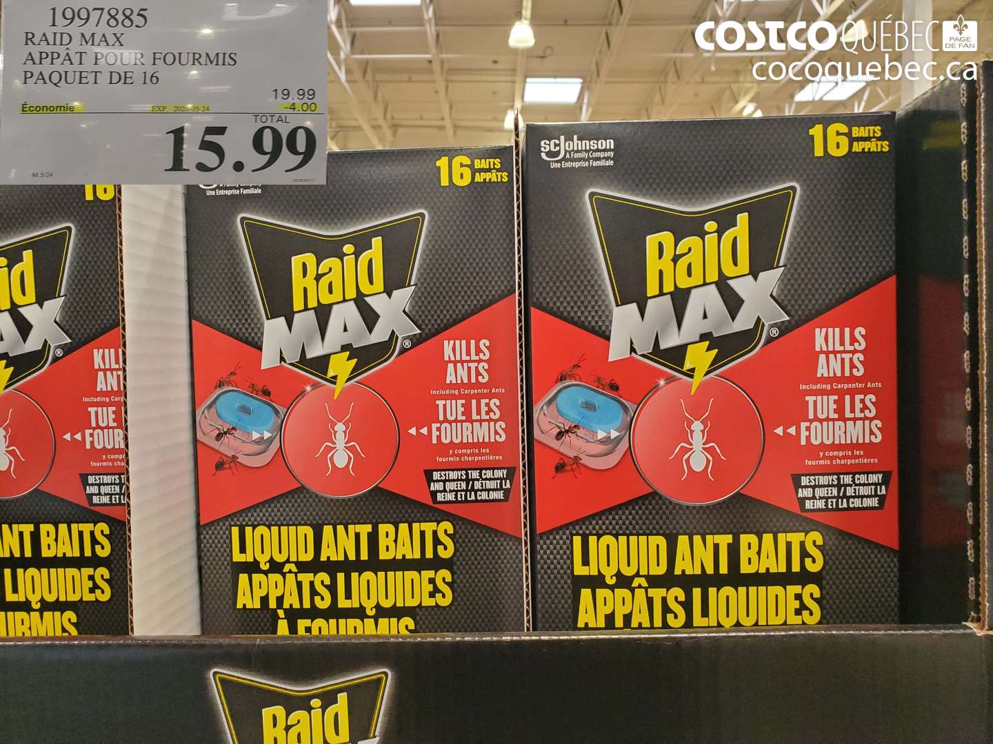 1997885 RAID MAX APPÂT POUR FOURMIS PAQUET DE 16 ($4.00 INSTANT SAVINGS EXPIRES ON 2026-05-24) $15.99