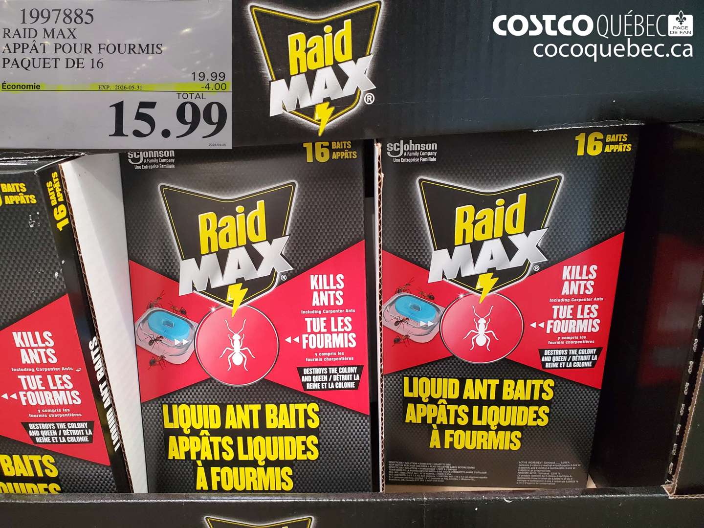 1997885 RAID MAX APPÂT POUR FOURMIS PAQUET DE 16 ($4.00 INSTANT SAVINGS EXPIRES ON 2026-05-31) $15.99
