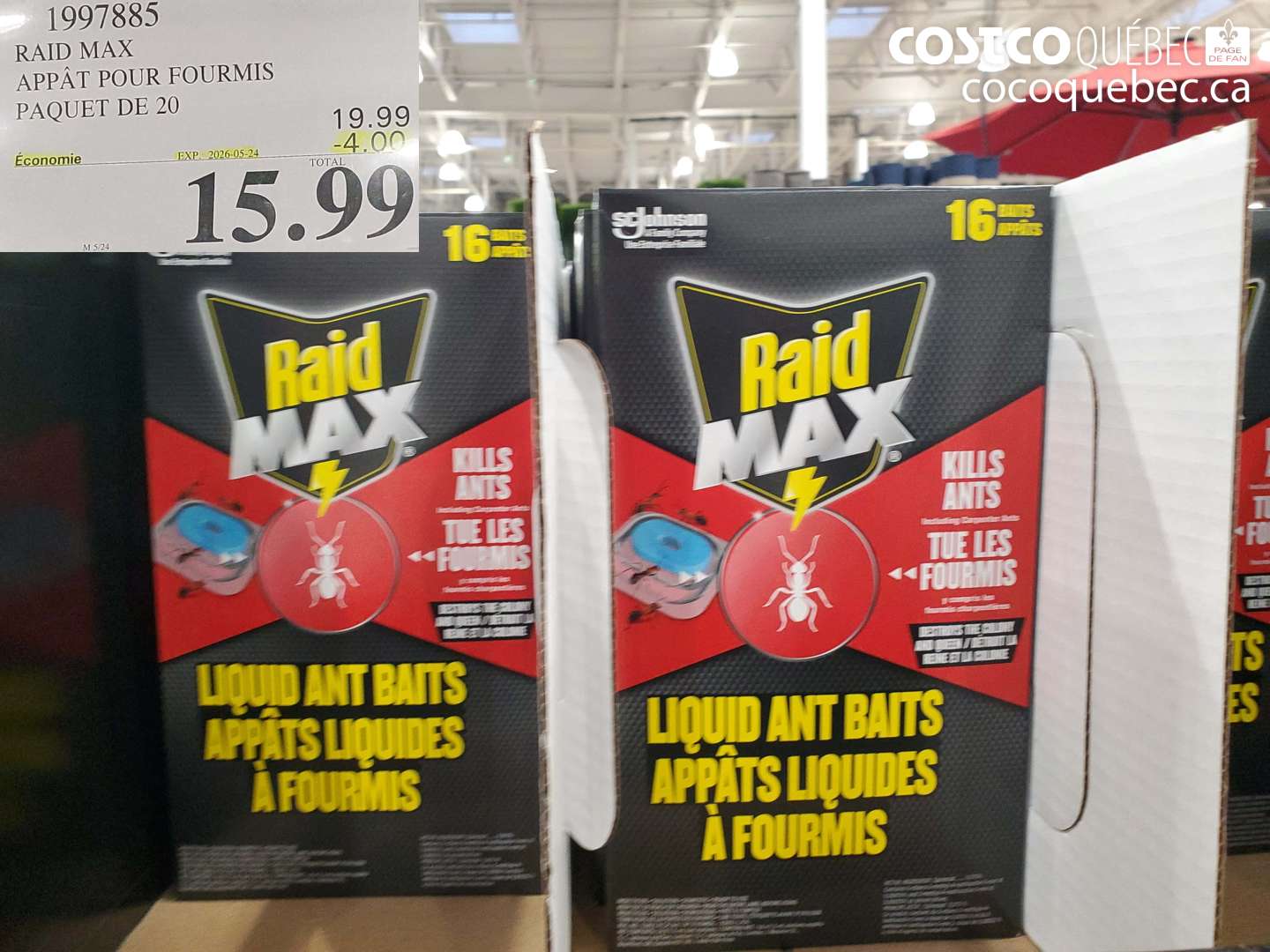 1997885 RAID MAX APPÂT POUR FOURMIS PAQUET DE 20 ($4.00 INSTANT SAVINGS EXPIRES ON 2026-05-24) $15.99
