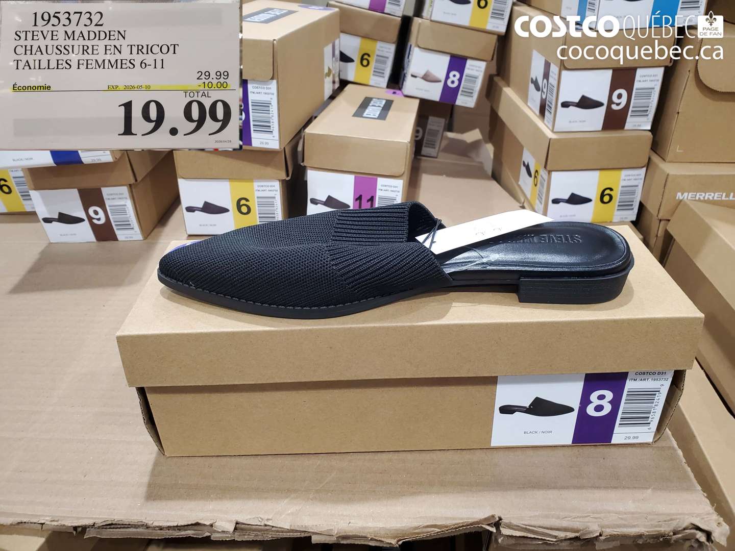 1953732 STEVE MADDEN CHAUSSURE EN TRICOT TAILLES FEMMES 6-11 ($10.00 INSTANT SAVINGS EXPIRES ON 2026-05-10) $19.99
