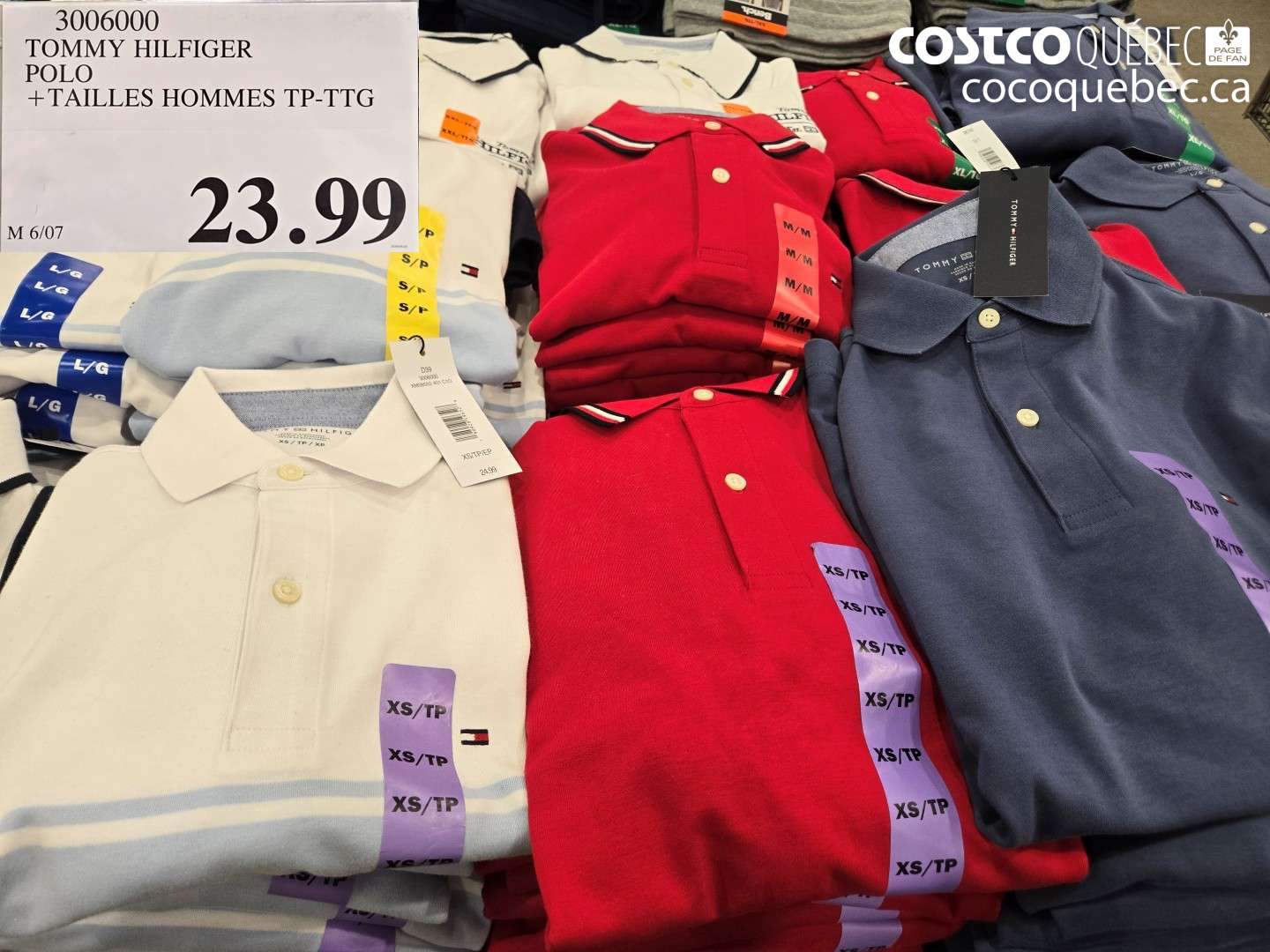 3006000 TOMMY HILFIGER POLO $23.99
