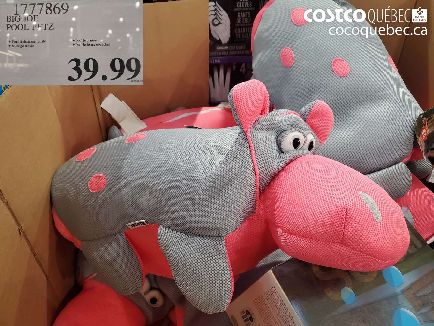 1777869 BIG JOE POOL PETZ $39.99