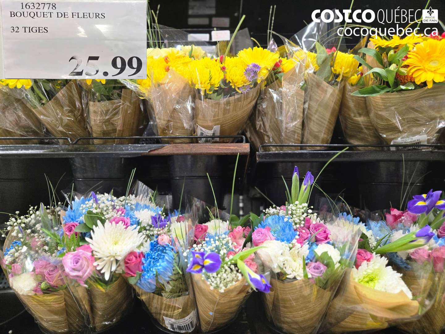 1632778 BOUQUET DE FLEURS $25.99