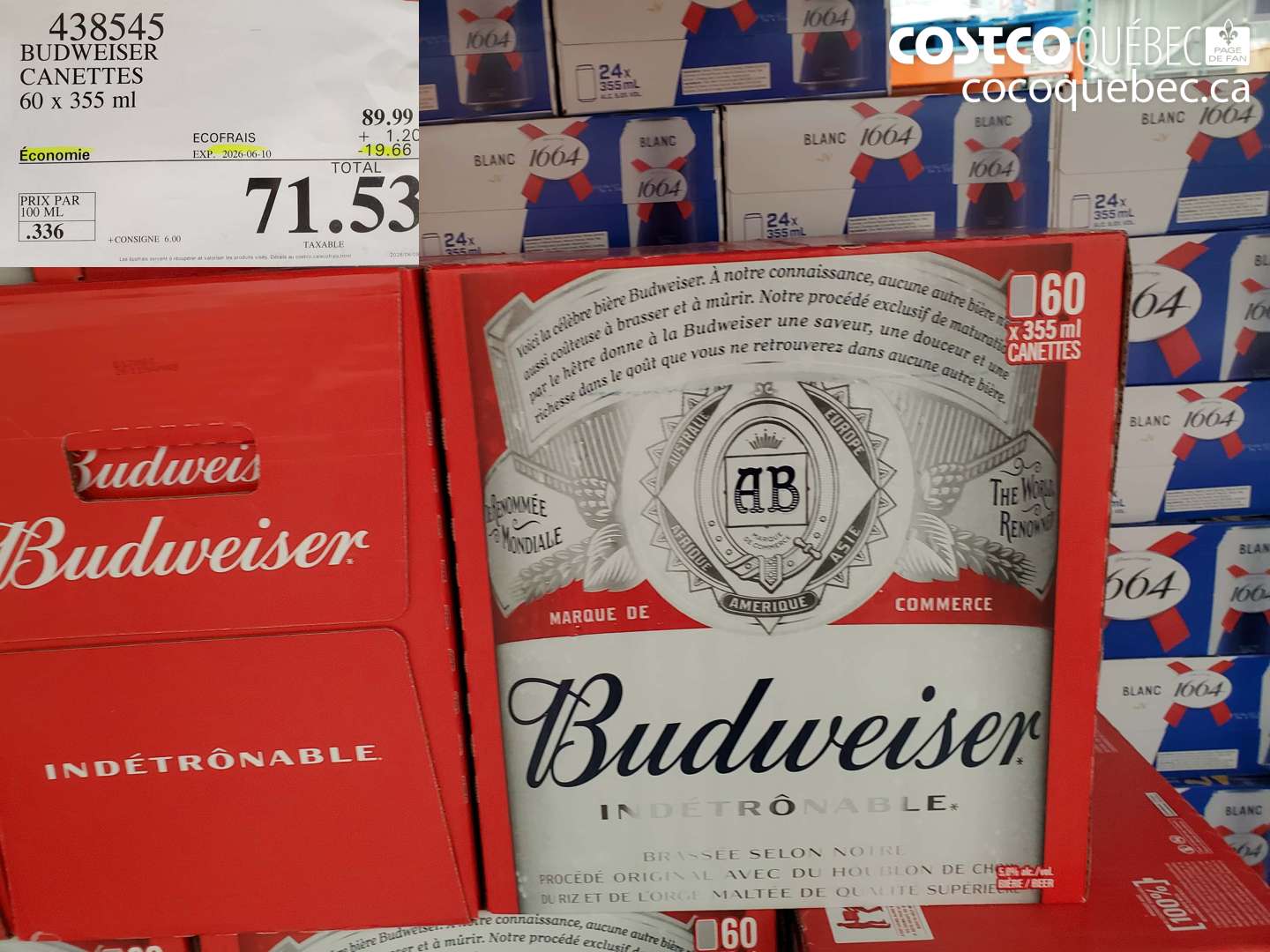 438545 BUDWEISER CANETTES 60 X 355 ML ($19.66 INSTANT SAVINGS EXPIRES ON 2026-06-10) $71.53