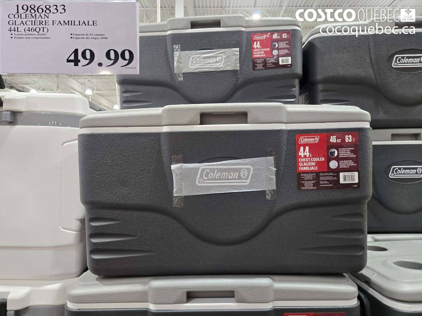 1986833 COLEMAN GLACIÈRE FAMILIALE 44L (46QT) $49.99