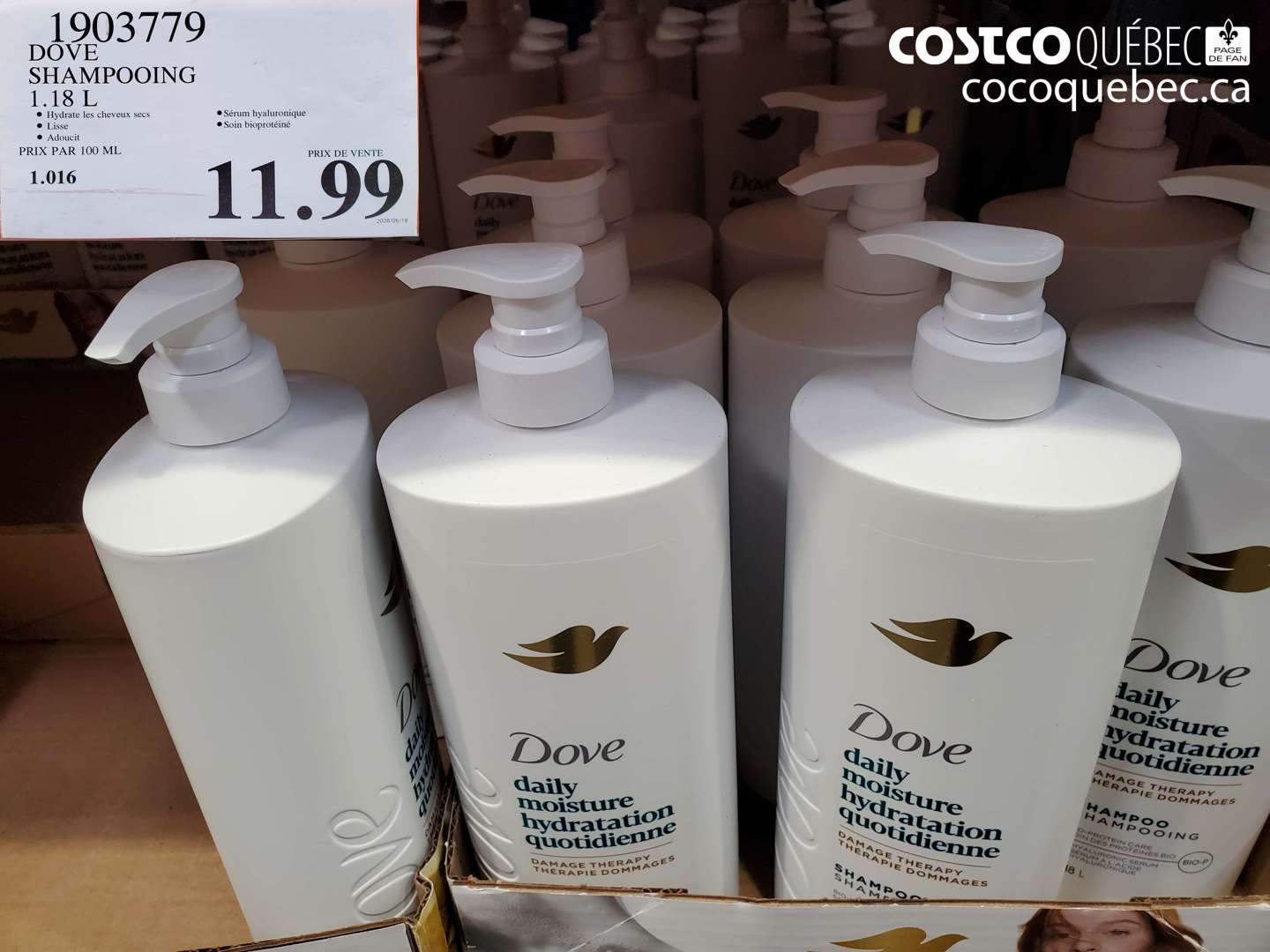 1903779 DOVE SHAMPOOING 1.18 L $11.99