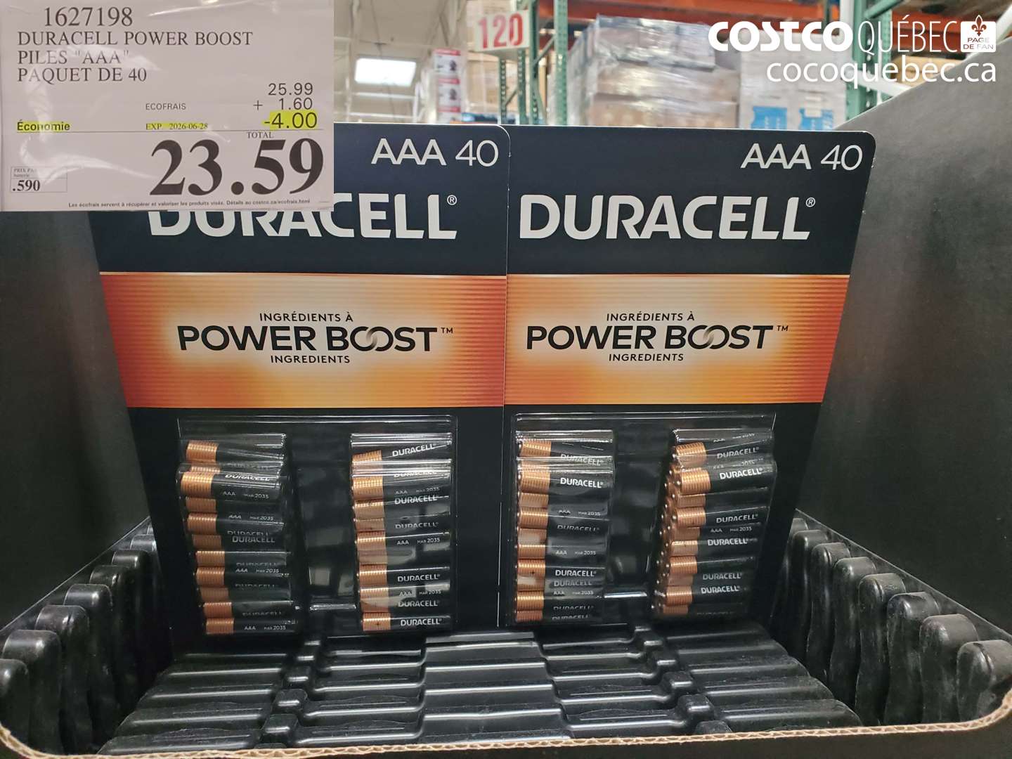 1627198 DURACELL POWER BOOST PILES 