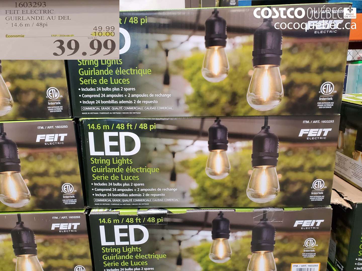 1603293 FEIT ELECTRIC GUIRLANDE AU DEL 14.6 M / 48PI ($10.00 INSTANT SAVINGS EXPIRES ON 2026-06-15) $39.99
