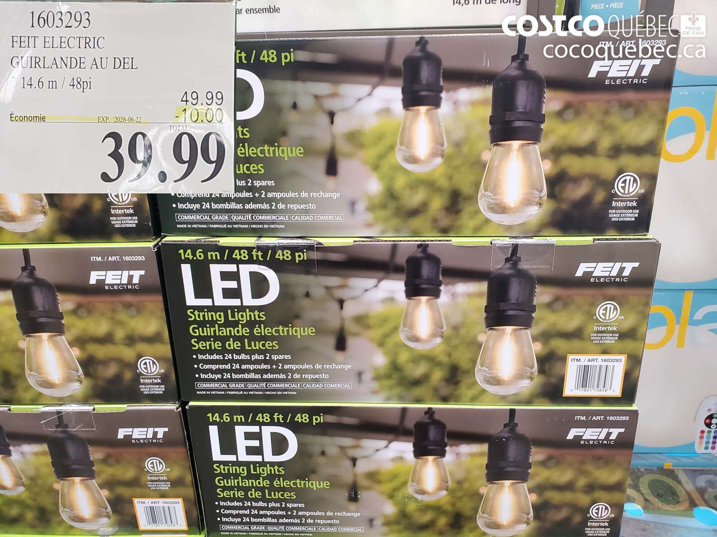 1603293 FEIT ELECTRIC GUIRLANDE AU DEL 14.6 M / 48PI ($10.00 INSTANT SAVINGS EXPIRES ON 2026-06-22) $39.99