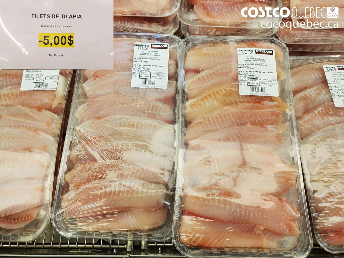000 FILETS DE TILAPIA ($5.00 INSTANT SAVINGS)