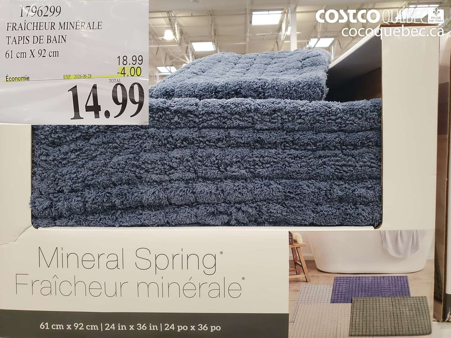 1796299 FRAÎCHEUR MINÉRALE TAPIS DE BAIN 61 CM X 92 CM ($4.00 INSTANT SAVINGS EXPIRES ON 2026-06-28) $14.99