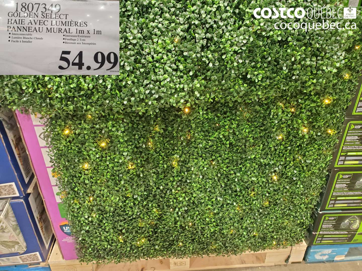 1807349 GOLDEN SELECT HAIE AVEC LUMIÈRES PANNEAU MURAL 1M X 1M $54.99
