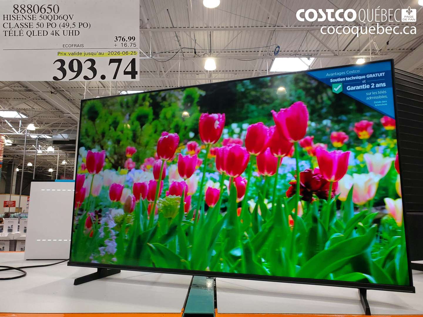 8880650 HISENSE 50QD6QV CLASSE 50 PO (49.5 PO) TÉLÉ QLED 4K UHD (EXPIRES ON 2026-06-25) $393.74
