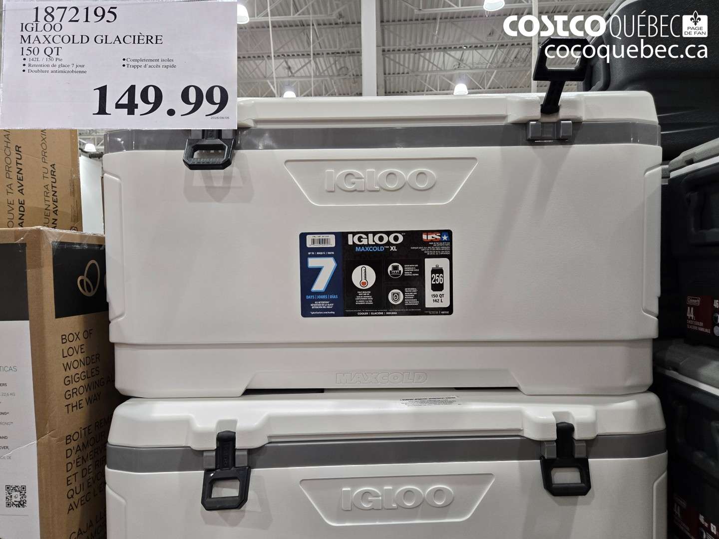 1872195 IGLOO MAXCOLD GLACIÈRE 150 QT $149.99