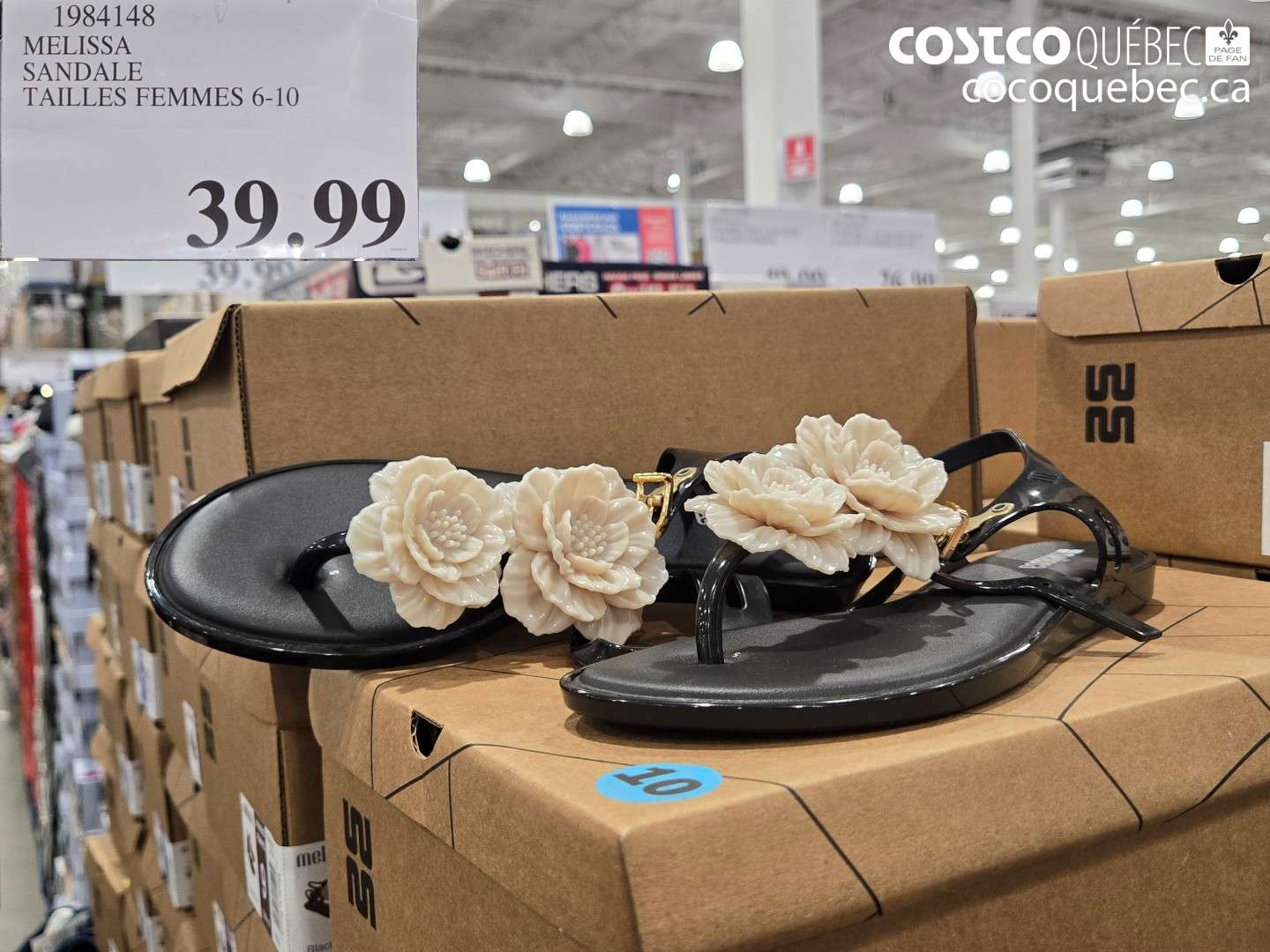 1984148 MELISSA SANDALE TAILLES FEMMES 6-10 $39.99