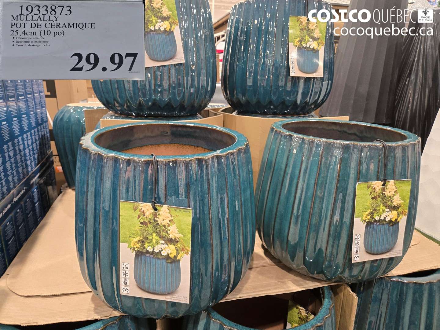 1933873 MULLALLY POT DE CÉRAMIQUE 25.4CM (10 PO) $29.97