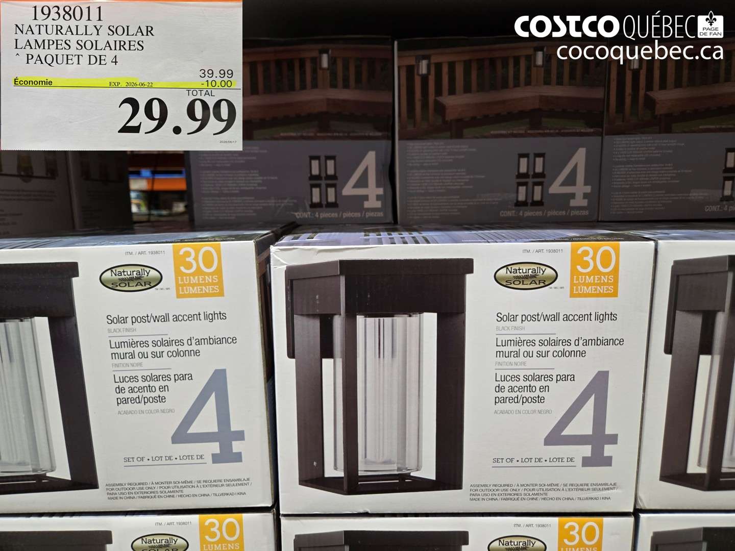 1938011 NATURALLY SOLAR LAMPES SOLAIRES ($10.00 INSTANT SAVINGS EXPIRES ON 2026-06-22) $29.99