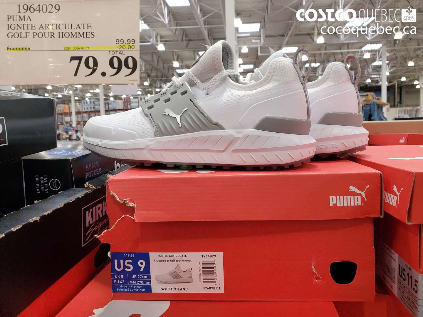 1964029 PUMA IGNITE ARTICULATE GOLF POUR HOMMES ($20.00 INSTANT SAVINGS EXPIRES ON 2026-06-07) $79.99