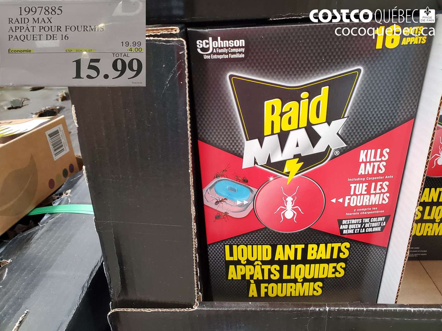 1997885 RAID MAX APPÂT POUR FOURMIS PAQUET DE 16 ($4.00 INSTANT SAVINGS EXPIRES ON 2026-06-07) $15.99