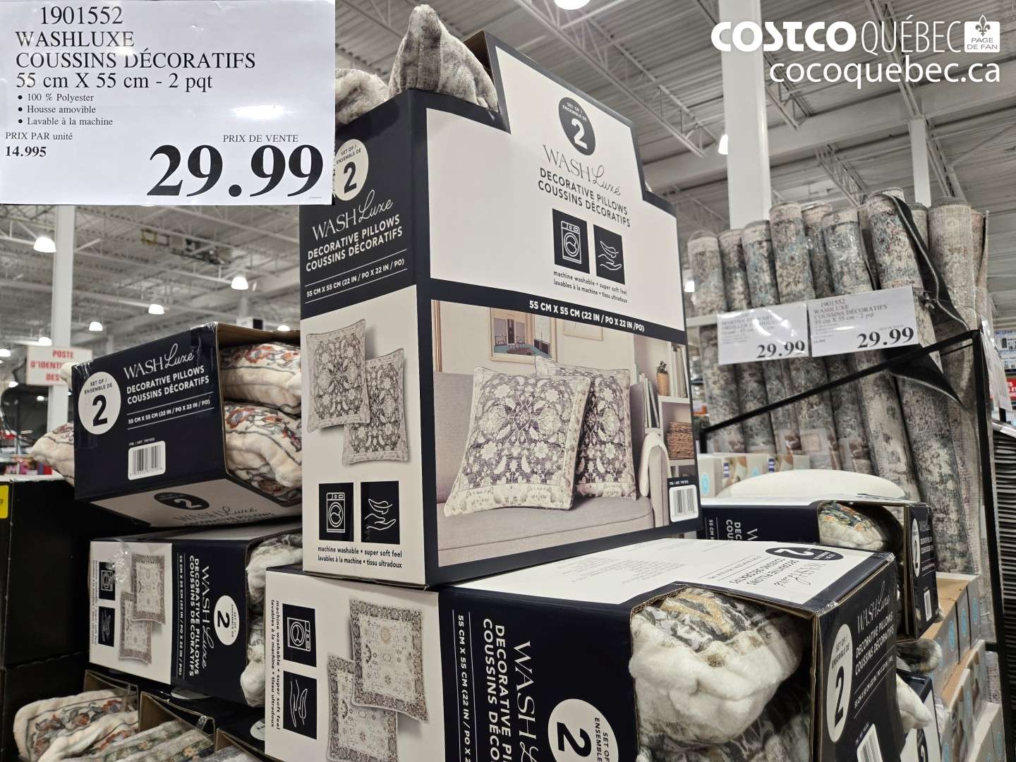 1901552 WASHLUXE COUSSINS DÉCORATIFS 55 CM X 55 CM - 2 PQT $29.99