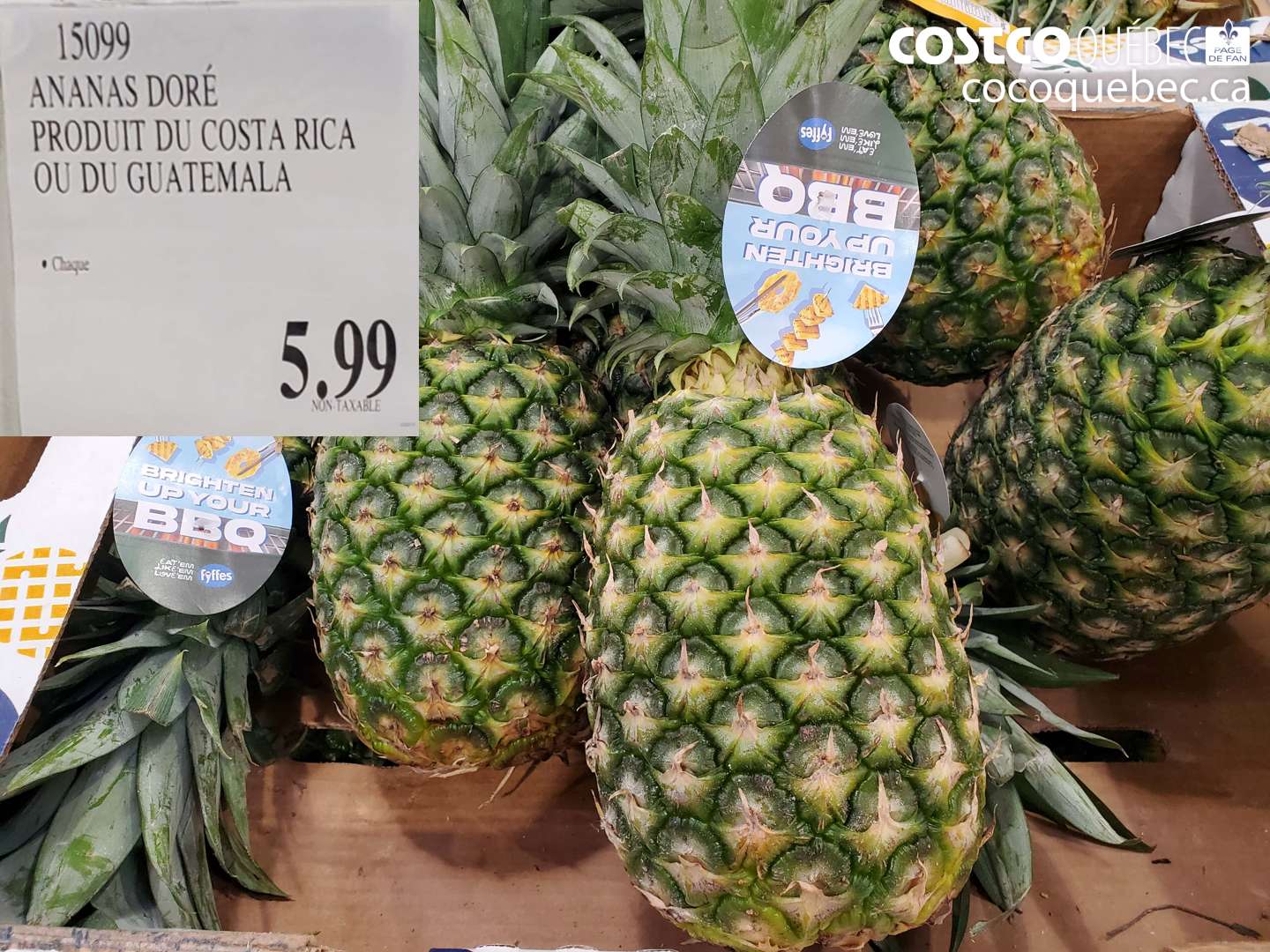 15099 ANANAS DORÉ PRODUIT DU COSTA RICA OU DU GUATEMALA $5.99
