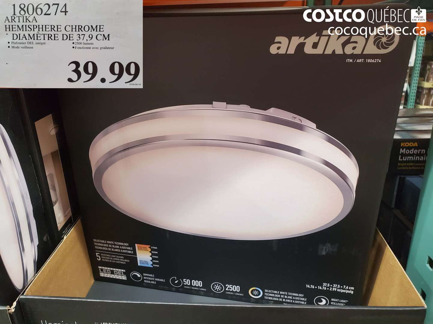 1806274 ARTIKA HEMISPHERE CHROME DIAMÈTRE DE 37.9 CM $39.99