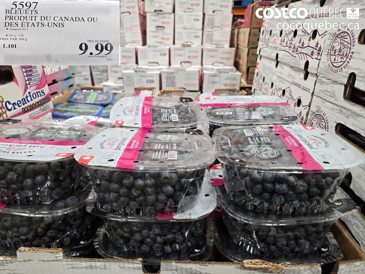 5597 BLEUETS PRODUIT DU CANADA OU DES ÉTATS-UNIS $9.99