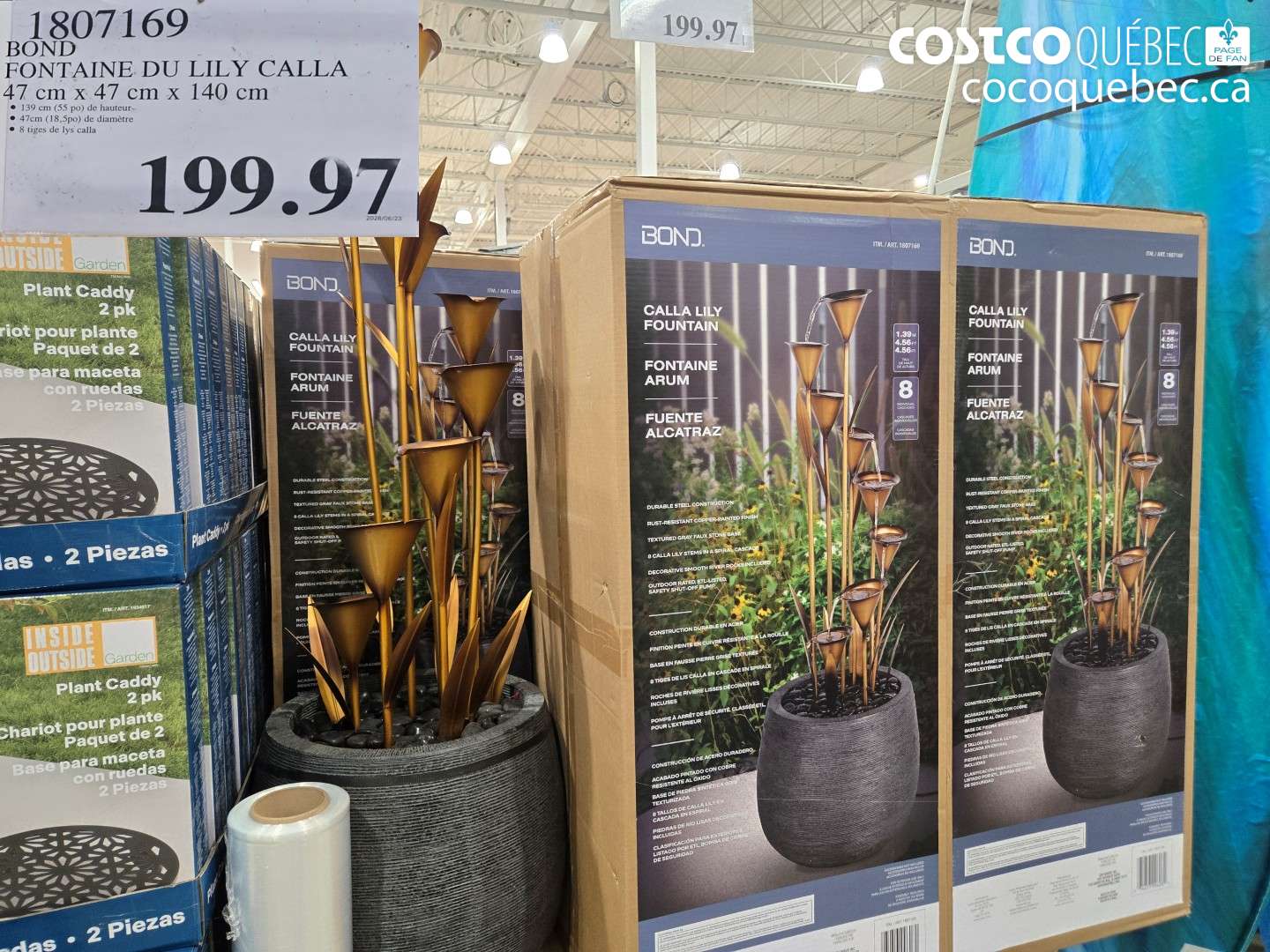 1807169 BOND FONTAINE DU LILY CALLA $199.97