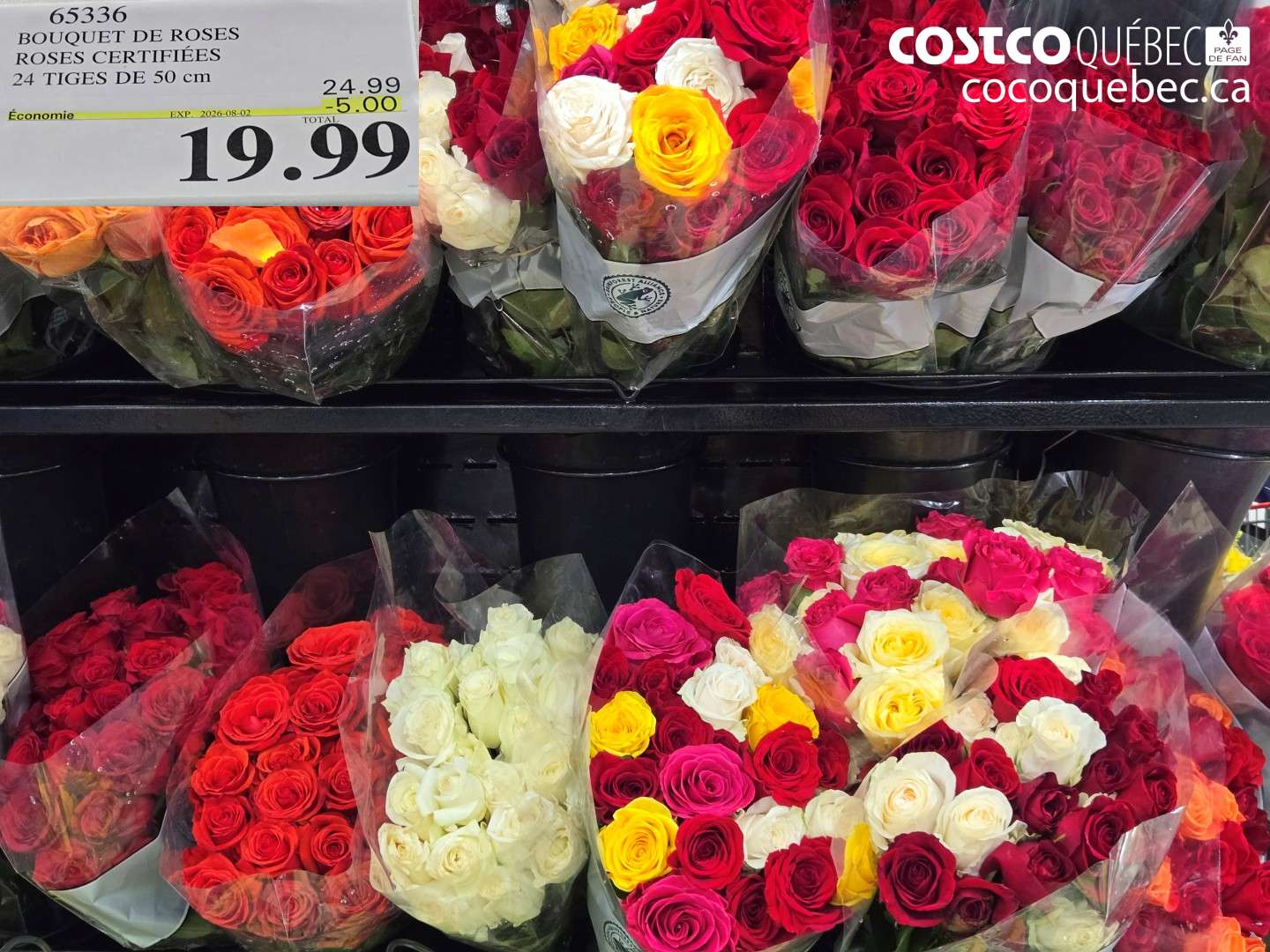 65336 BOUQUET DE ROSES ROSES CERTIFIÉES 24 TIGES DE 50 CM ($5.00 INSTANT SAVINGS EXPIRES ON 2026-08-02) $19.99