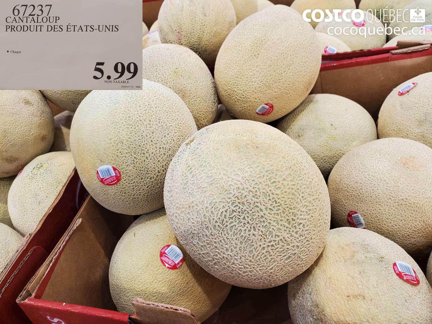 67237 CANTALOUP PRODUIT DES ÉTATS-UNIS $5.99