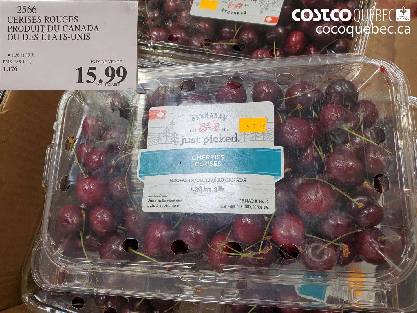 2566 CERISES ROUGES PRODUIT DU CANADA OU DES ÉTATS-UNIS $15.99