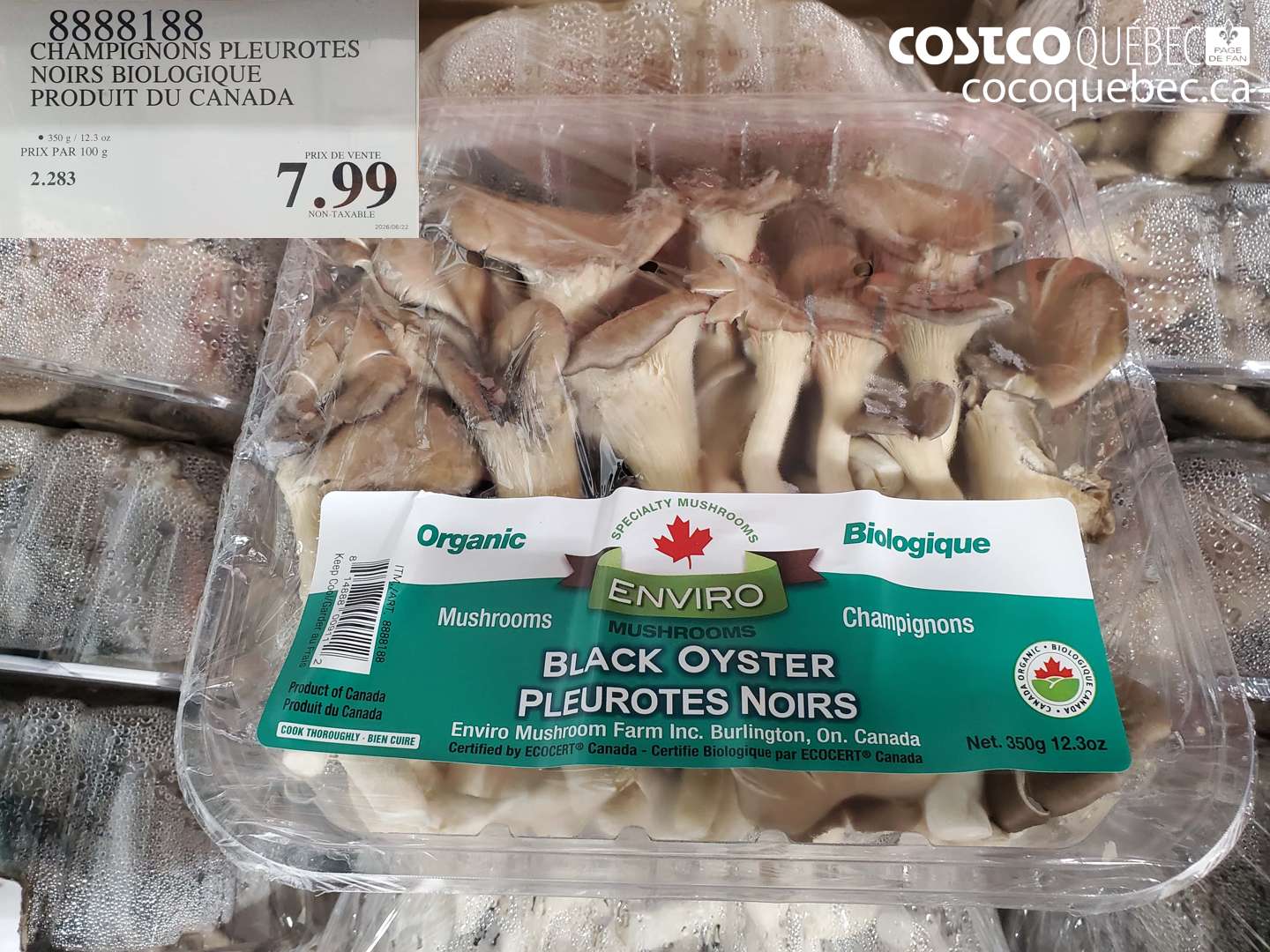 8888188 CHAMPIGNONS PLEUROTES NOIRS BIOLOGIQUE PRODUIT DU CANADA $7.99