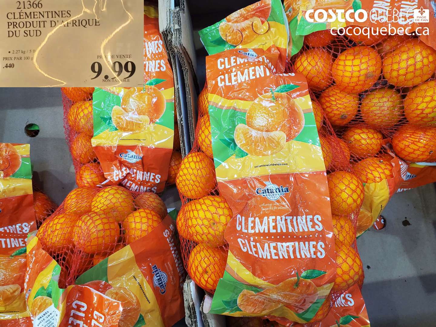 21366 CLÉMENTINES PRODUIT D'AFRIQUE DU SUD $9.99