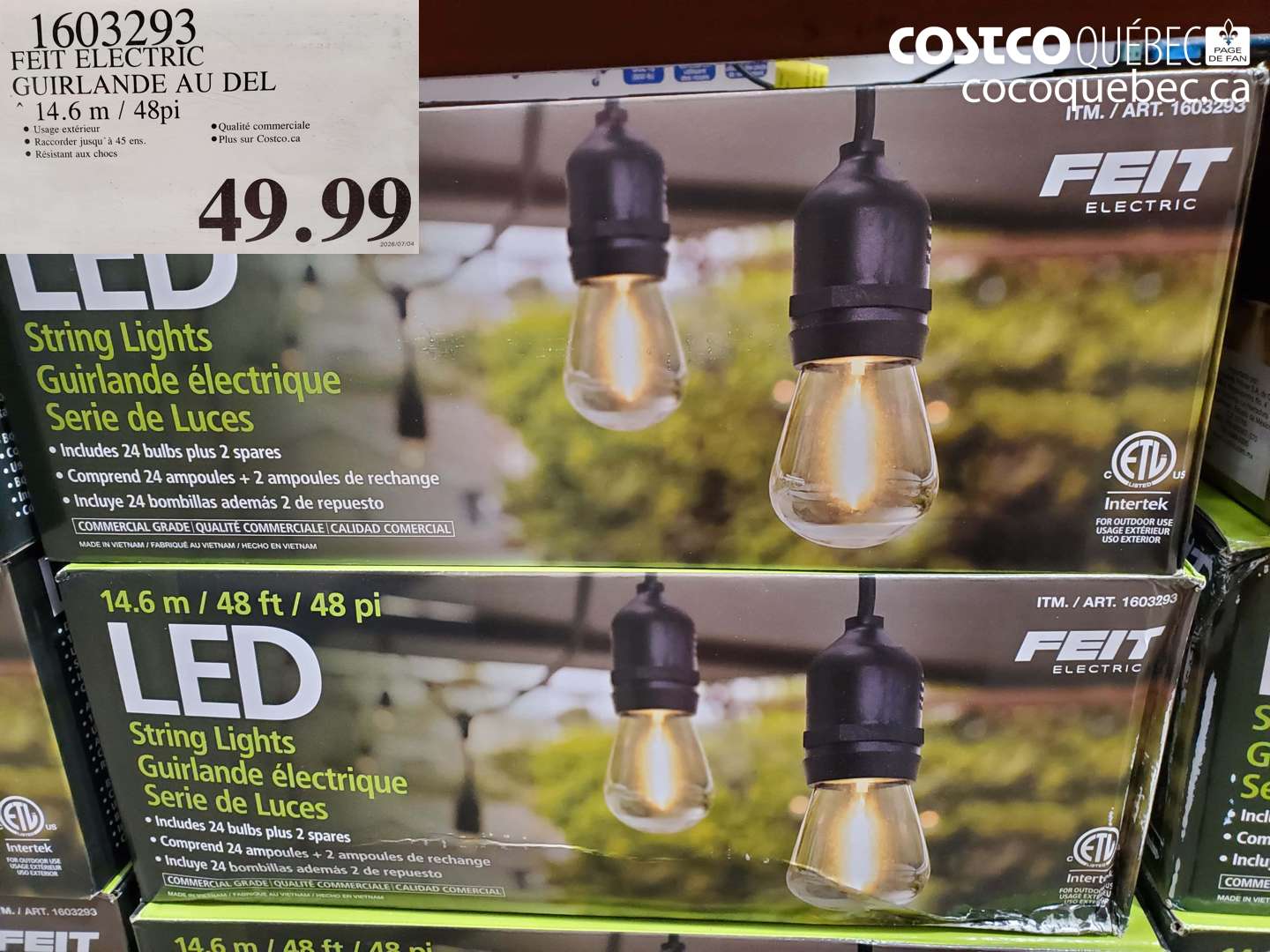 1603293 FEIT ELECTRIC GUIRLANDE AU DEL 14.6 M / 48PI $49.99
