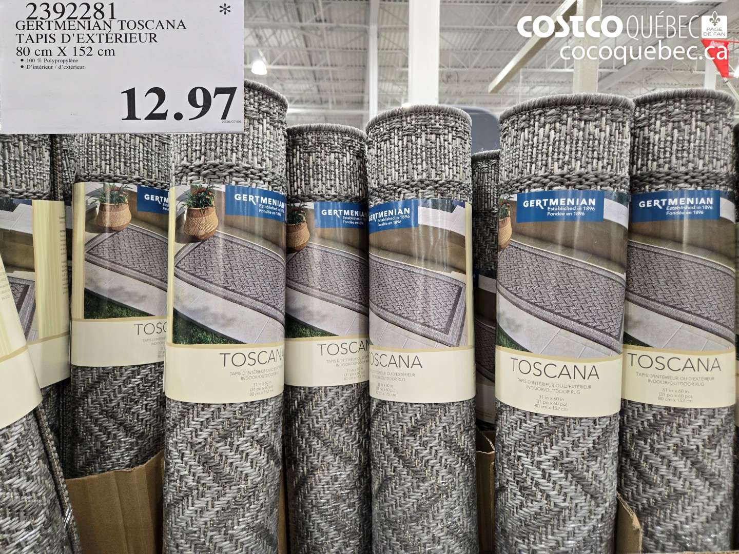 2392281 GERTMENIAN TOSCANA TAPIS D'EXTERIEUR 80 CM X 152 CM $12.97