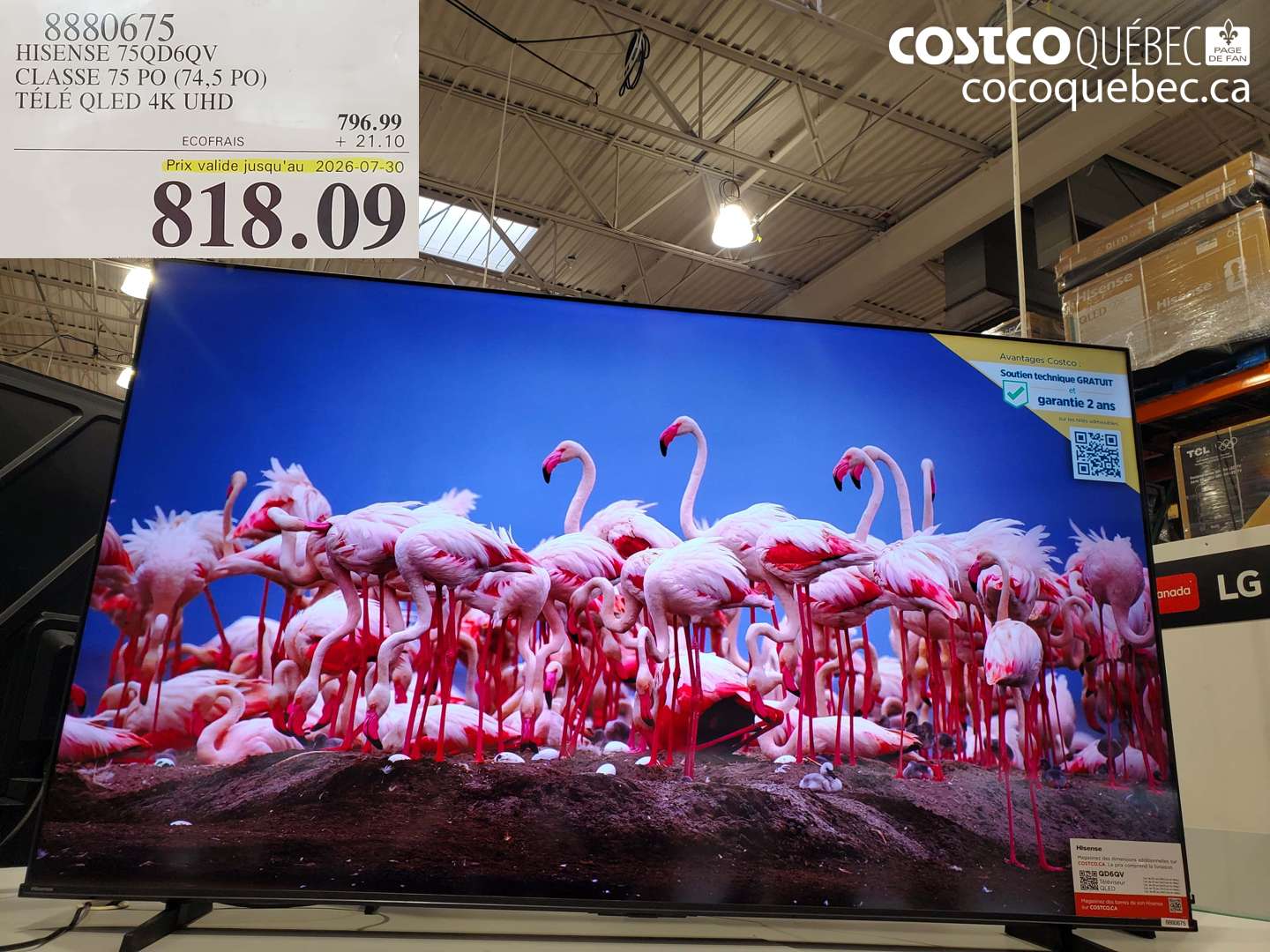 8880675 HISENSE 75QD6QV CLASSE 75 PO (74.5 PO) TÉLÉ QLED 4K UHD (EXPIRES ON 2026-07-30) $818.09