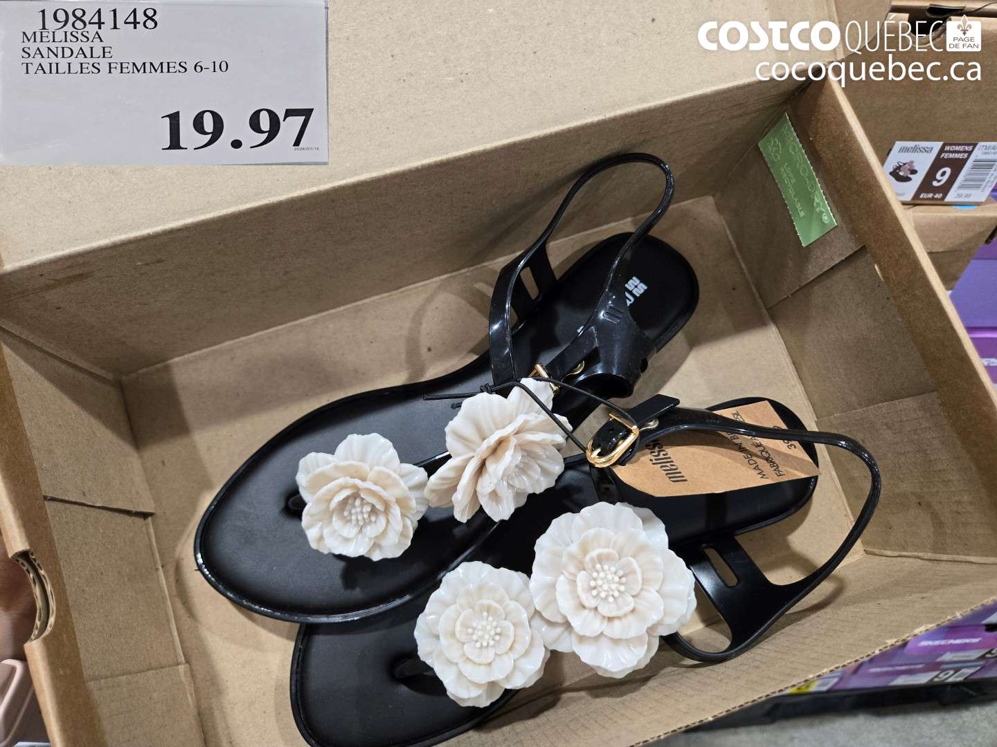 1984148 MELISSA SANDALE TAILLES FEMMES 6-10 $19.97