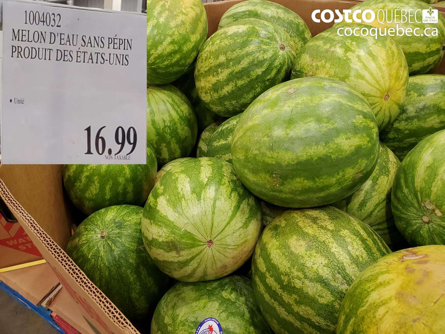 1004032 MELON D'EAU SANS PÉPIN PRODUIT DES ÉTATS-UNIS $16.99