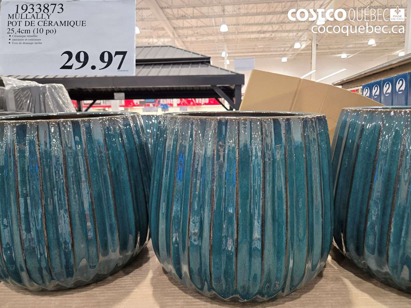 1933873 MULLALLY POT DE CÉRAMIQUE 25.4CM (10 PO) $29.97