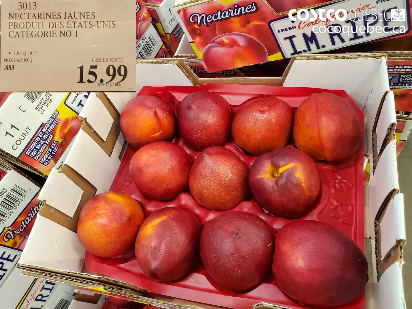 3013 NECTARINES JAUNES $15.99